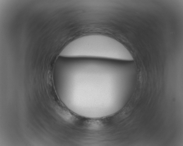 X0000081390322200701111213