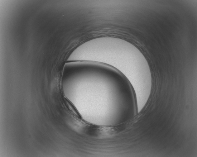 X0000081390333200701111213