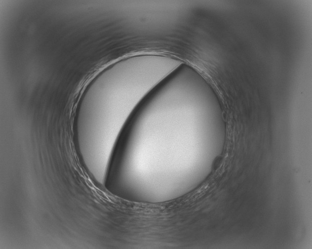 X0000081390337200701111212
