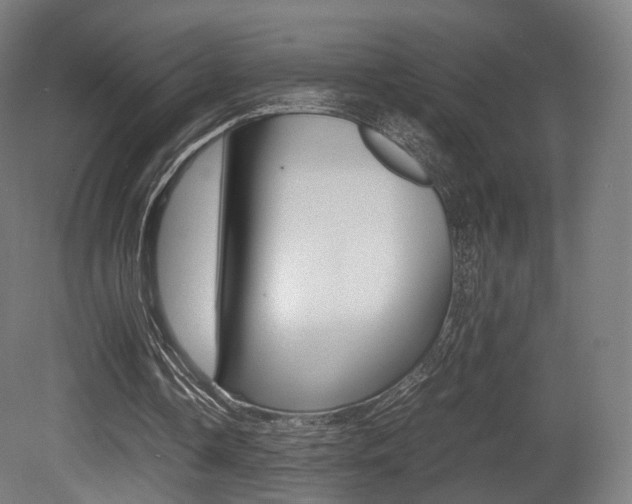 X0000081390338200701111212