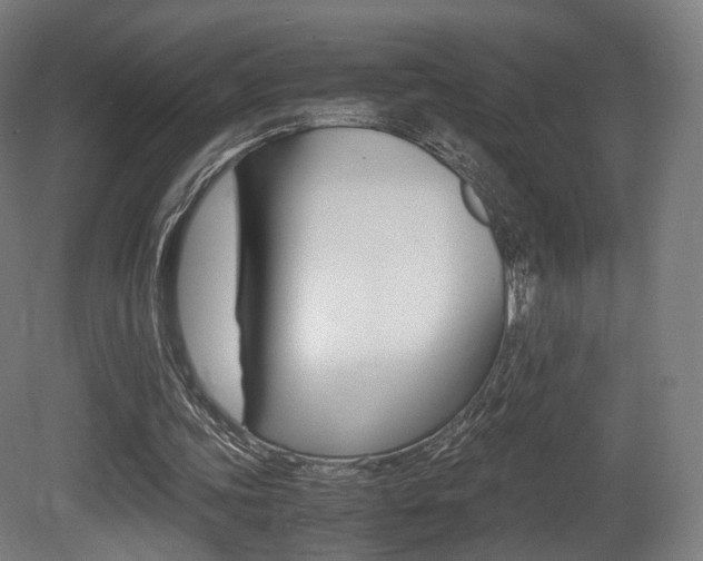 X0000081390339200701111212
