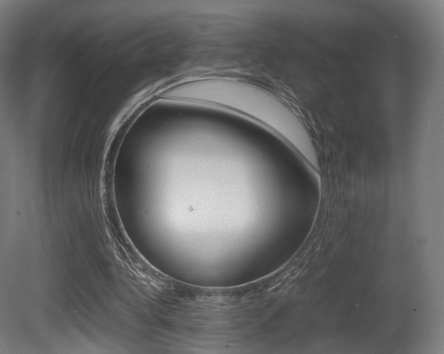 X0000081390340200701111212