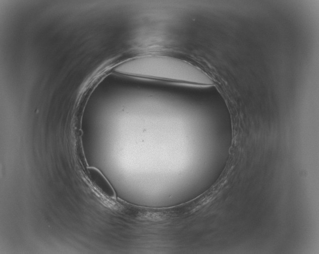 X0000081390341200701111212