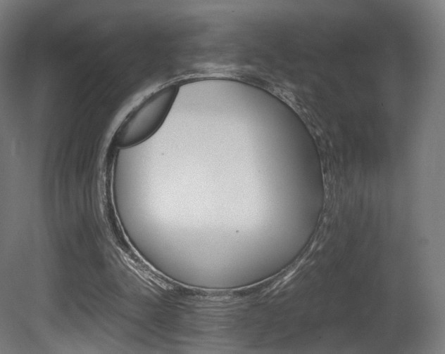 X0000081390342200701111212