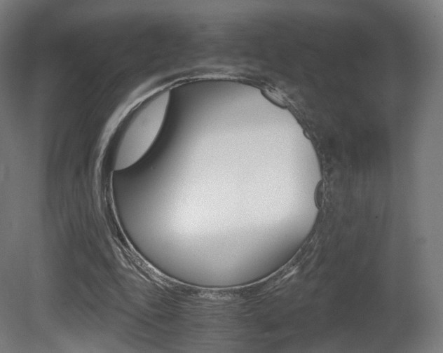 X0000081390343200701111212