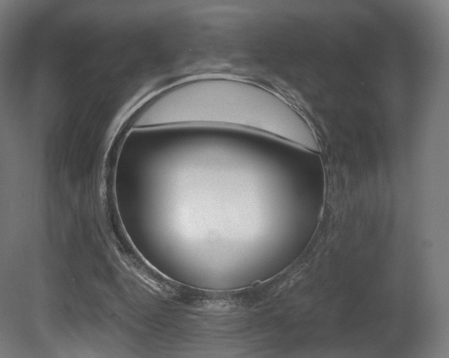 X0000081390344200701111212