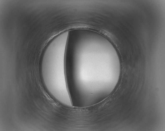 X0000081390345200701111212