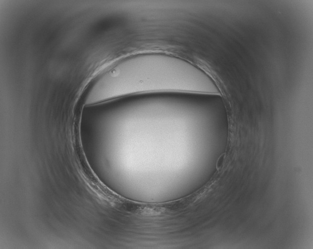 X0000081390346200701111212