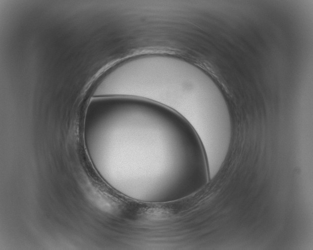 X0000081390348200701111212