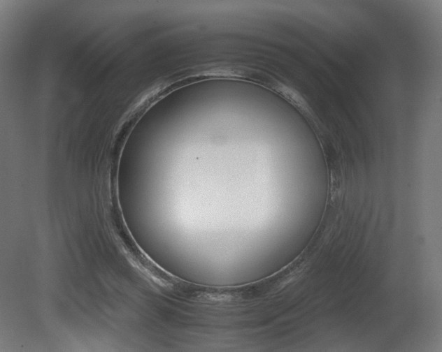 X0000081390349200701111212