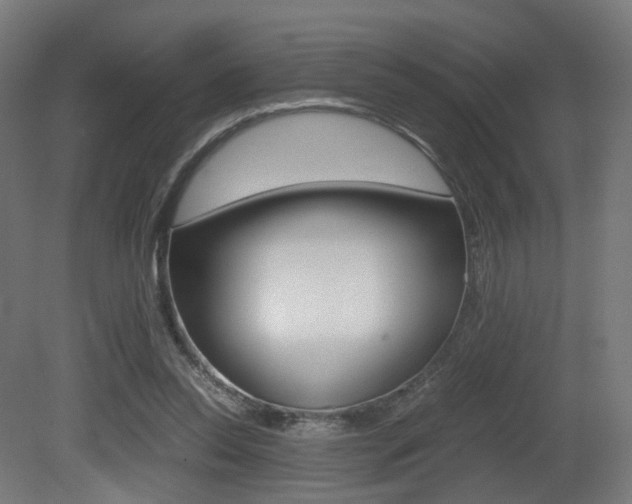 X0000081390350200701111213