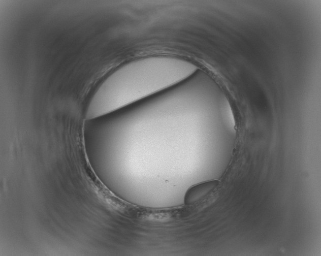 X0000081390353200701111213
