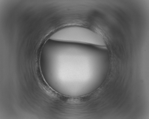 X0000081390354200701111213