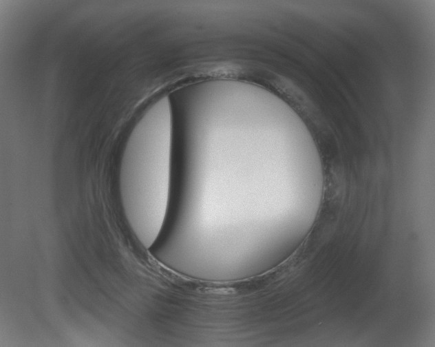 X0000081390355200701111213