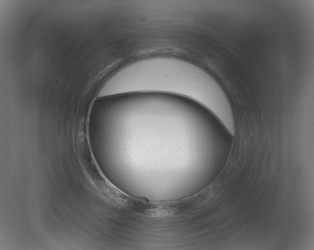 X0000081390356200701111213