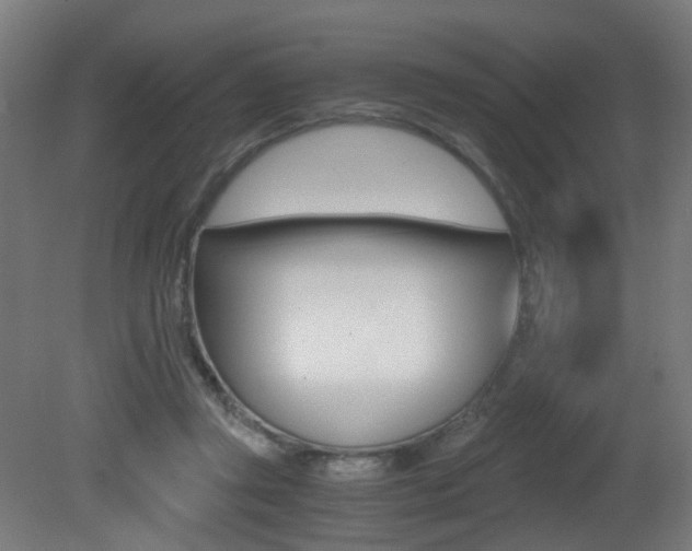 X0000081390357200701111213