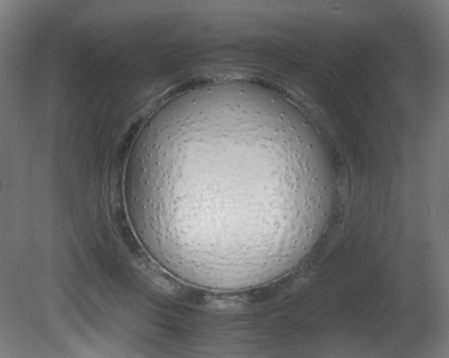 X0000081390359200701111213