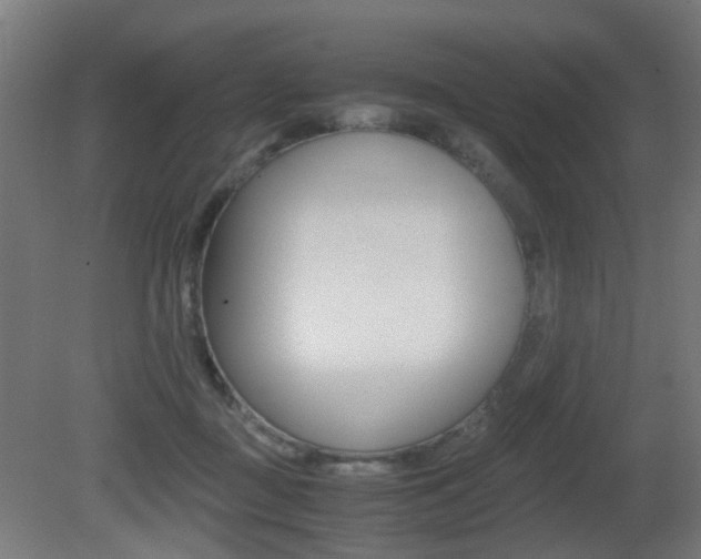 X0000081390363200701111213