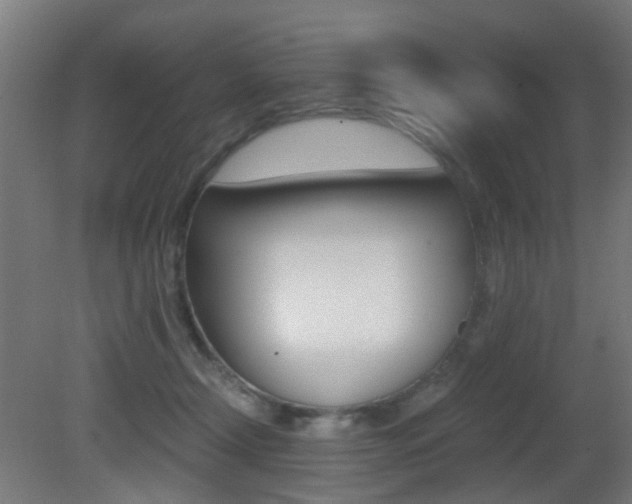X0000081390366200701111213
