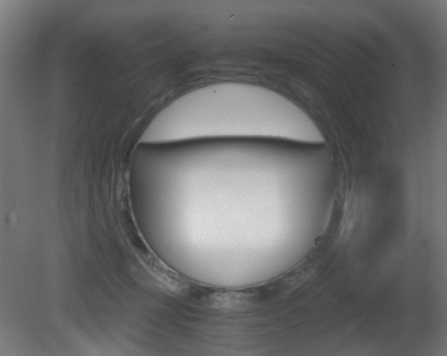 X0000081390367200701111213