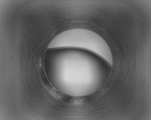 X0000081390368200701111213