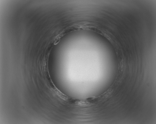 X0000081390372200701111213