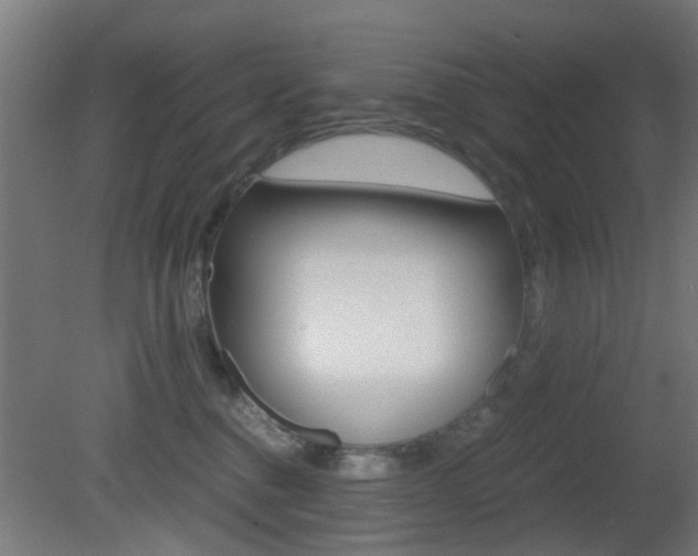 X0000081390376200701111213