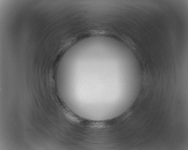 X0000081390377200701111213