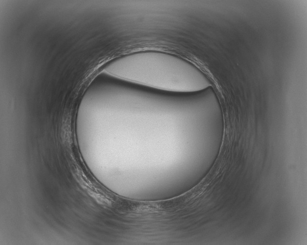 X0000081390386200701111212