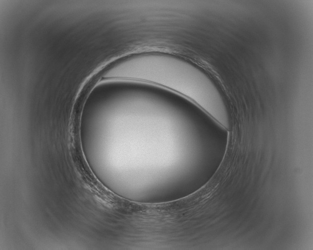 X0000081390388200701111212