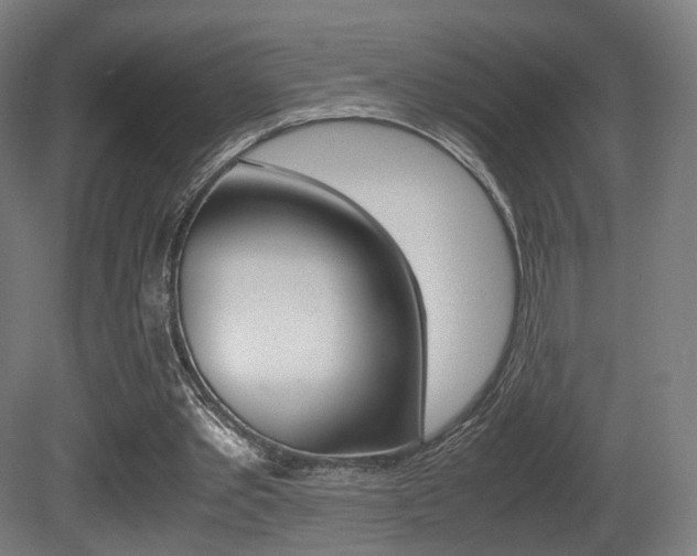 X0000081390389200701111212