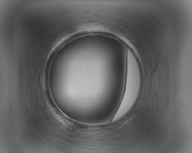 X0000081390391200701111212