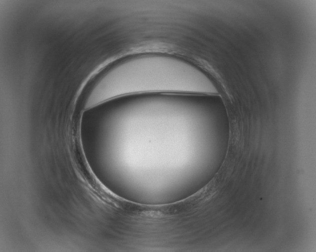 X0000081390392200701111212