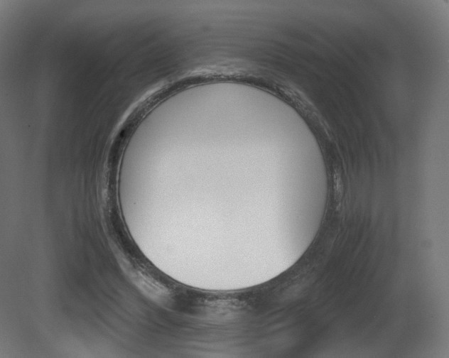 X0000081390396200701111212