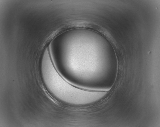 X0000081390397200701111212