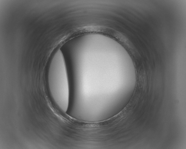 X0000081390398200701111212