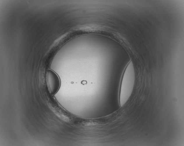 X0000081390400200701111212