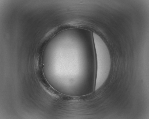 X0000081390404200701111212