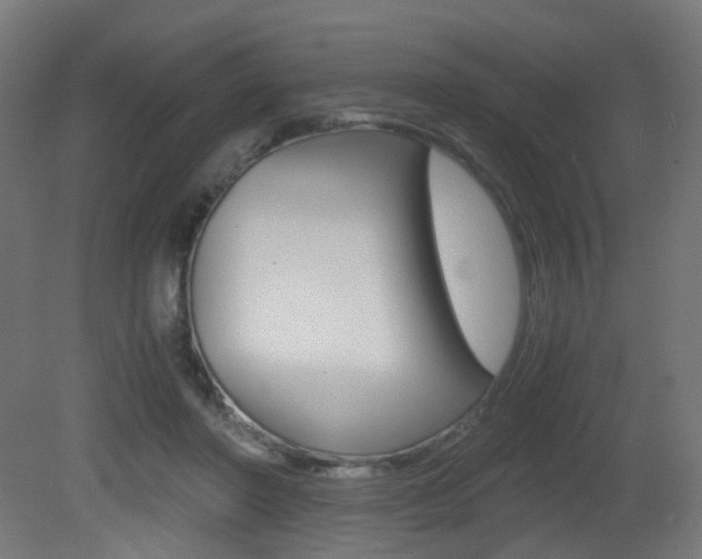 X0000081390406200701111212