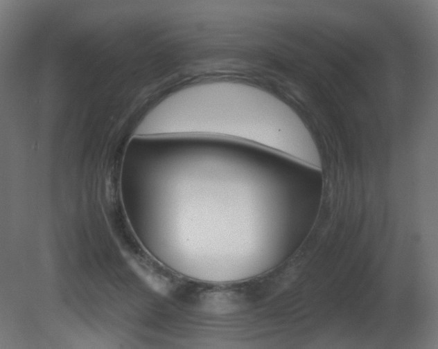 X0000081390408200701111212