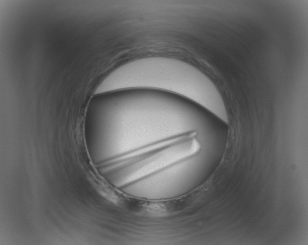 X0000081390409200701111212