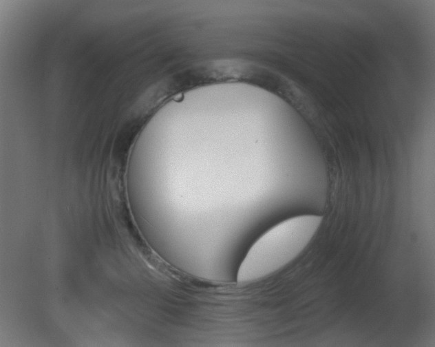 X0000081390414200701111212