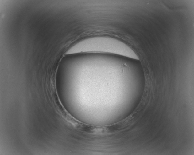 X0000081390415200701111212