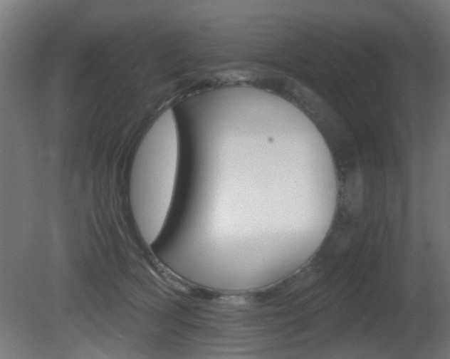 X0000081390418200701111212