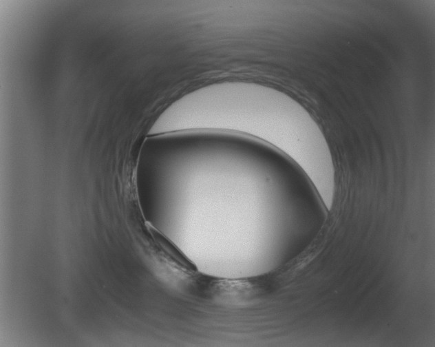 X0000081390429200701111212