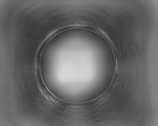 X0000081390435200701111211