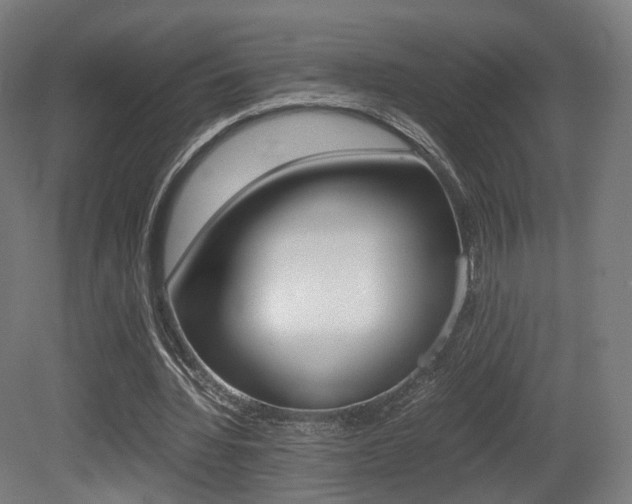 X0000081390436200701111211