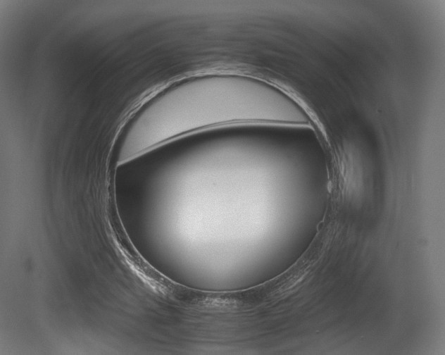 X0000081390437200701111211