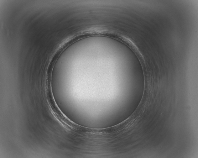 X0000081390439200701111211