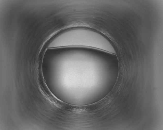 X0000081390440200701111211